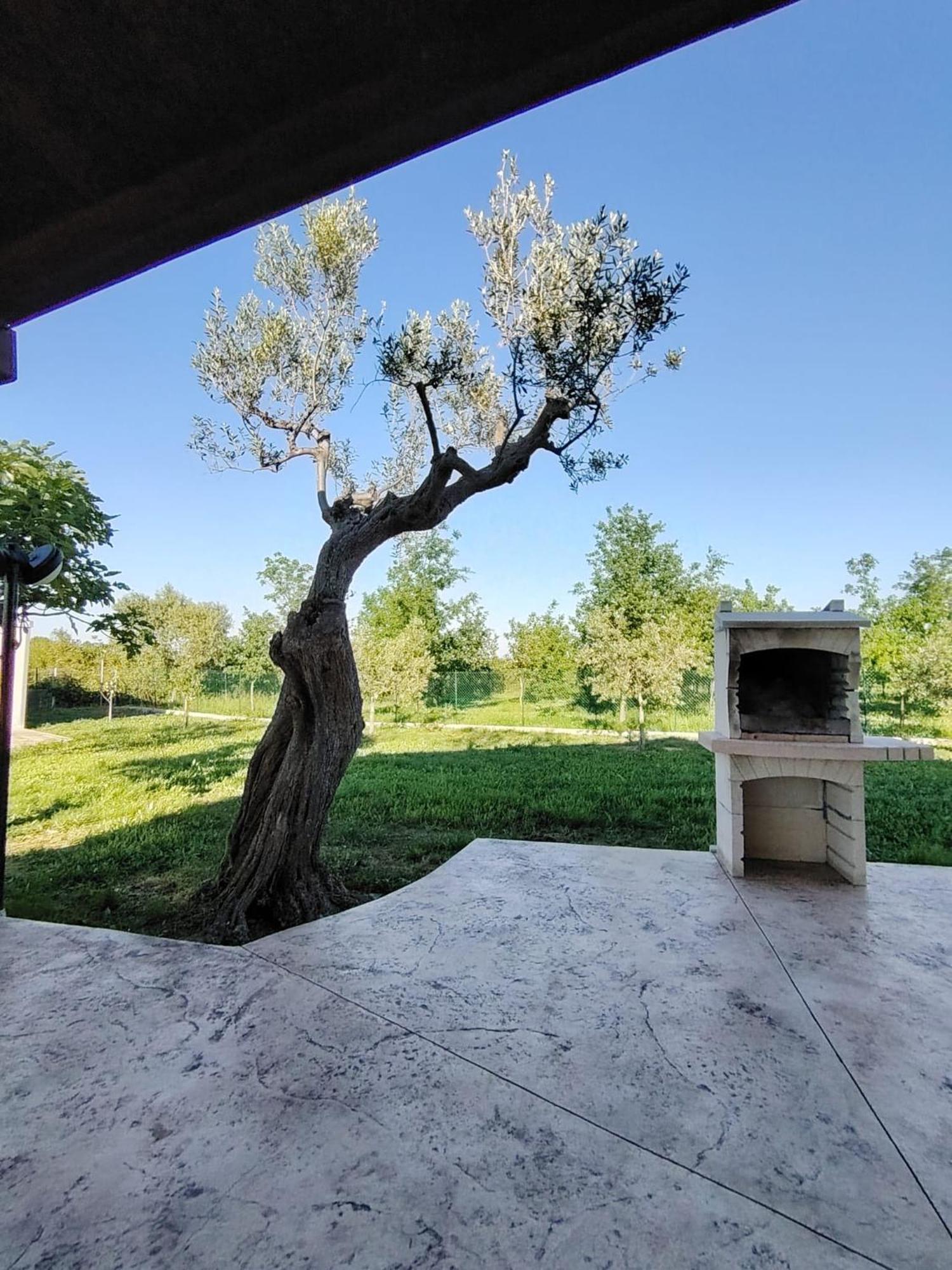 Casale Nel Verde Сан-Вито-Кьетино Экстерьер фото